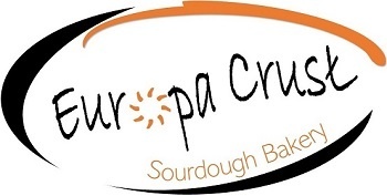 Europa Crust